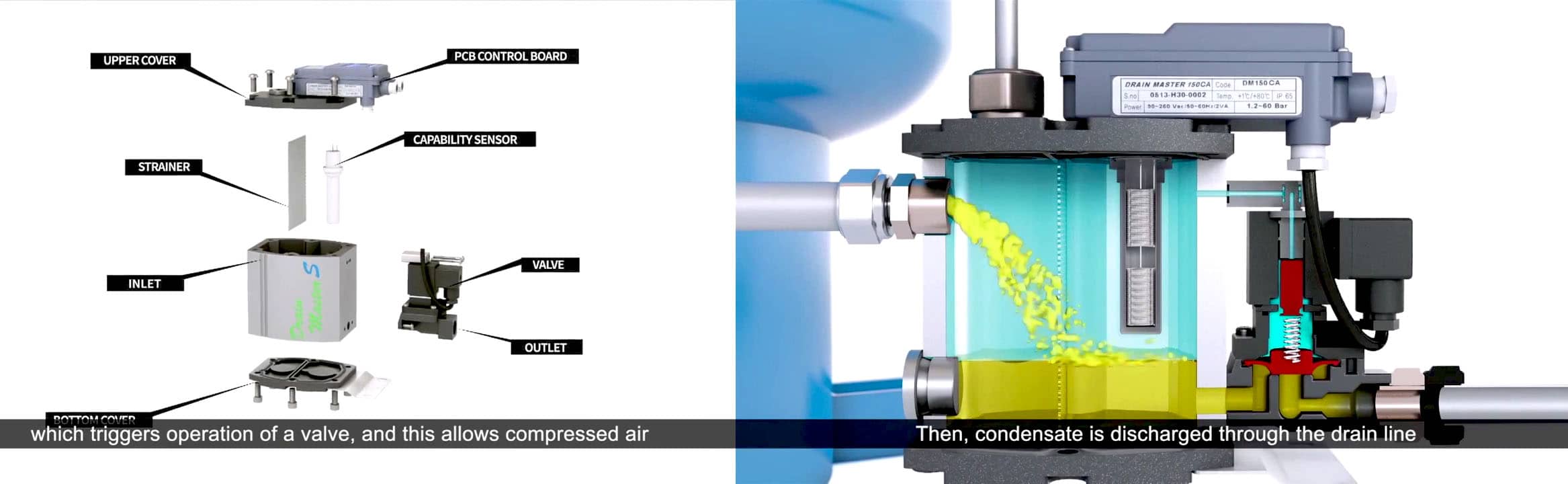 Components of drain value